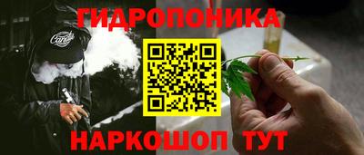 прущие грибы Азнакаево