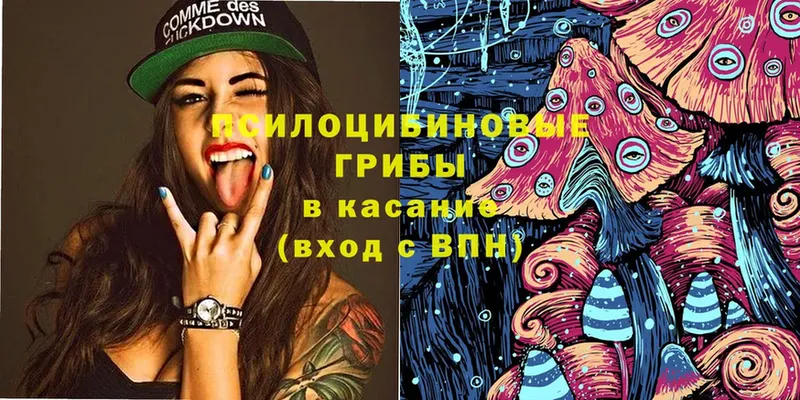 Псилоцибиновые грибы Magic Shrooms  Абинск 