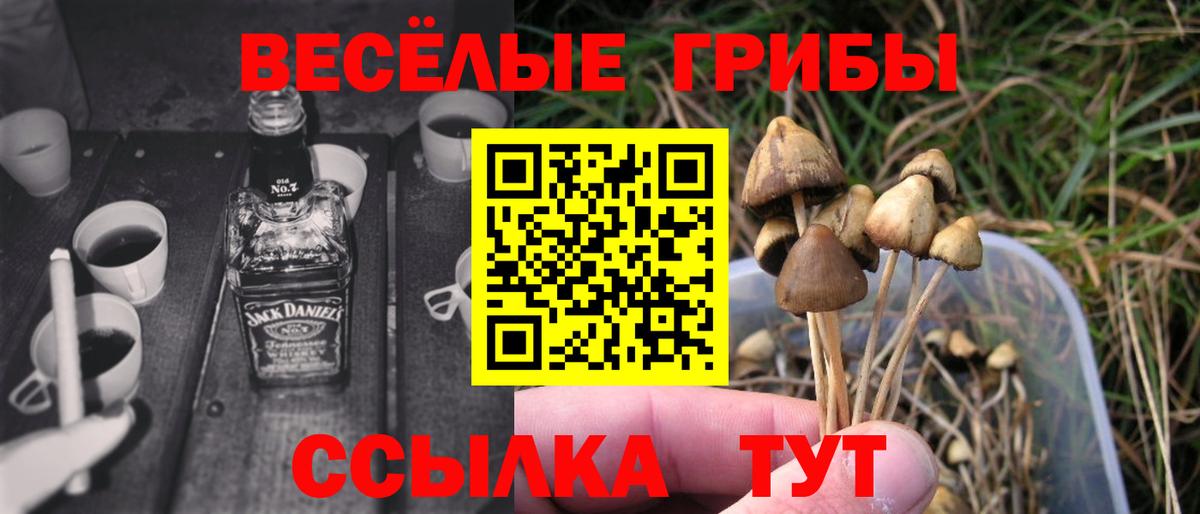 Псилоцибиновые грибы Cubensis  что такое   Абинск  Вход с VPN 